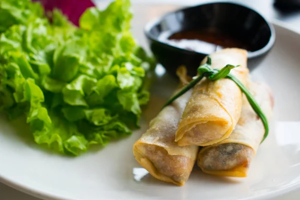Plate with Spring rolls — Stock Photo, Image