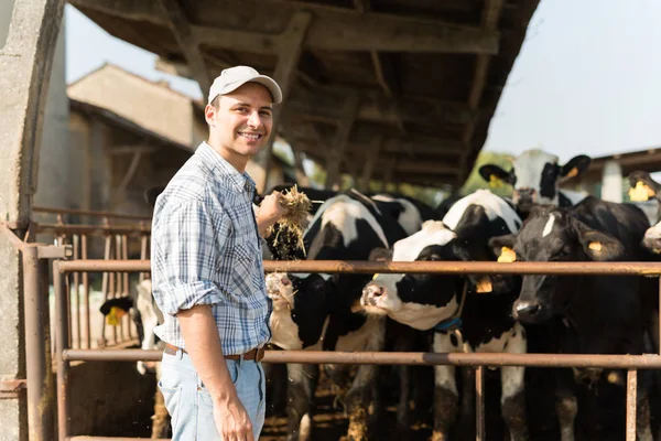 Criador Frente Suas Vacas — Fotografia de Stock