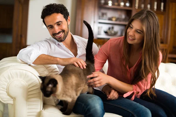 幸福的夫妇和他们的猫在沙发上玩的画像 浅景深 对人关注 — 图库照片
