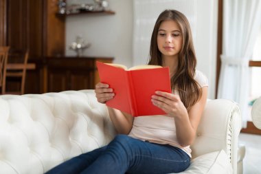 Evde dinlenirken bir kitap okuma bir kadın portresi