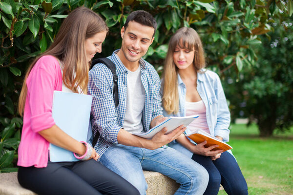 Outdoor portrait of three smiling students studying in a park