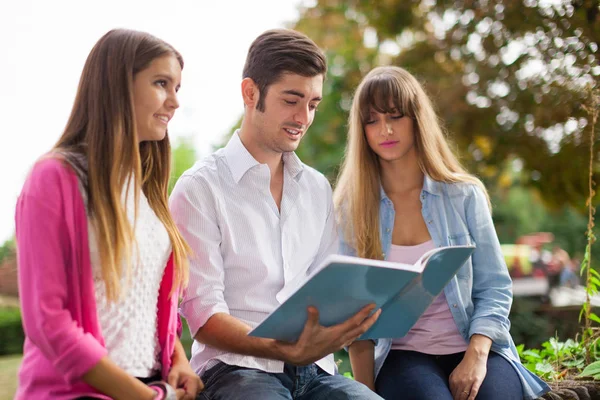 Ritratto All Aperto Tre Studenti Sorridenti Che Studiano Parco — Foto Stock