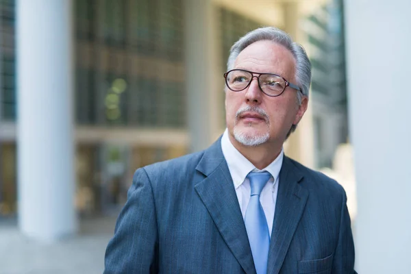 Thoughtful Handsome Senior Businessman Portrait — Stock Photo, Image