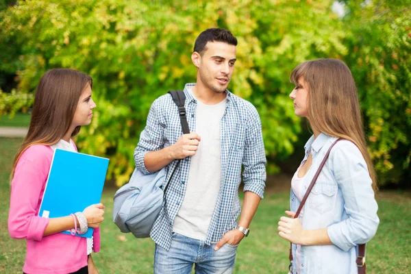 Outdoor Portrait Group Smiling Students Royalty Free Stock Images