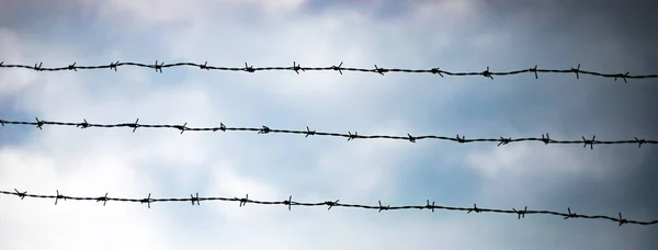 Fence Barbed Wire Sky — Stock Photo, Image