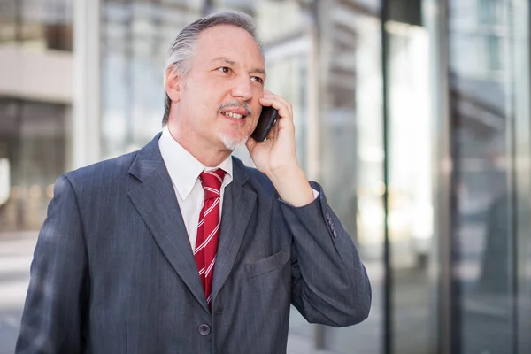 Porträt Eines Geschäftsmannes Der Mit Seinem Smartphone Telefoniert — Stockfoto