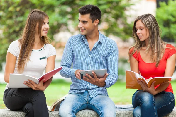 Estudiantes Felices Estudiando Aire Libre Sentados Banco —  Fotos de Stock