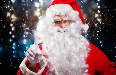 Noel Baba'nın kapalı portre