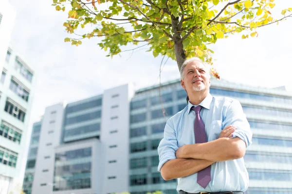 Businessman Front His Office Tree Ecology Business Concept — Stockfoto