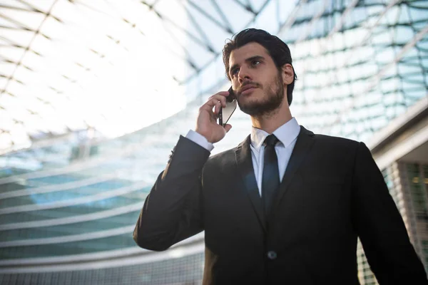 Portrait Successful Businessman Talking Phone — Stock Photo, Image
