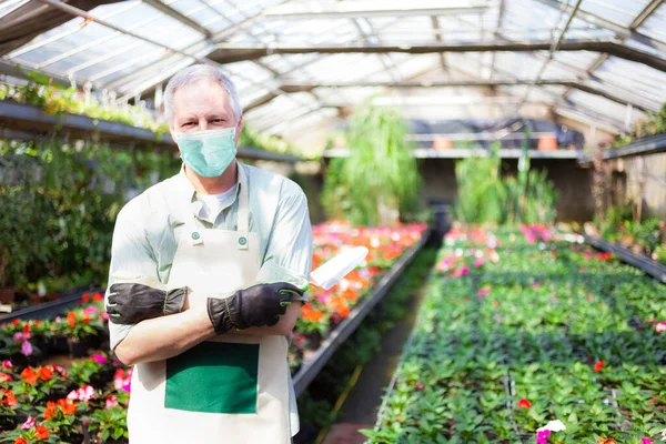 Gente Trabajando Invernadero Una Floristería — Foto de Stock