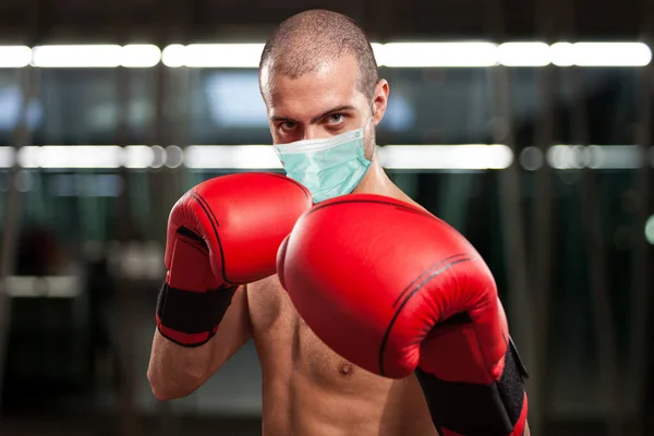 Boxer Mascarado Durante Pandemia Coronavírus Conceito Engraçado — Fotografia de Stock