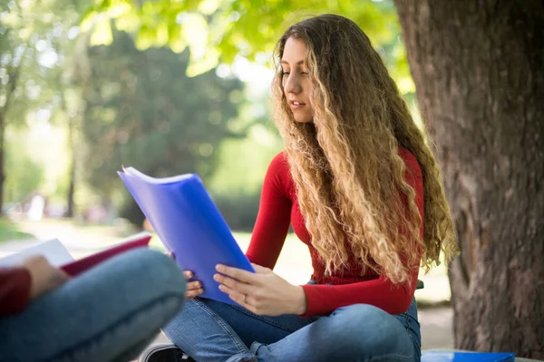 Due Studenti Che Studiano Insieme Seduti Una Panchina All Aperto — Foto Stock