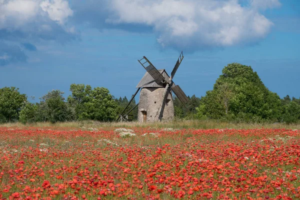 Molino de viento y amapolas Imagen De Stock