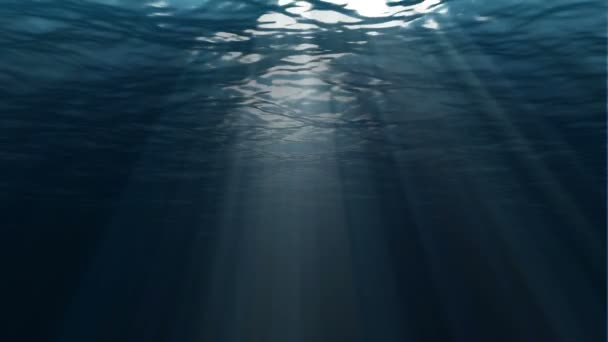 Scène sous-marine. Grand fond marin populaire 
