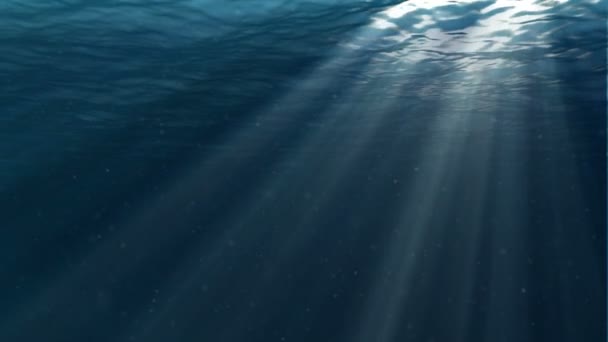 Escena submarina. Gran fondo marino popular — Vídeo de stock