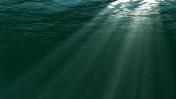 Scène sous-marine. Grand fond marin populaire 