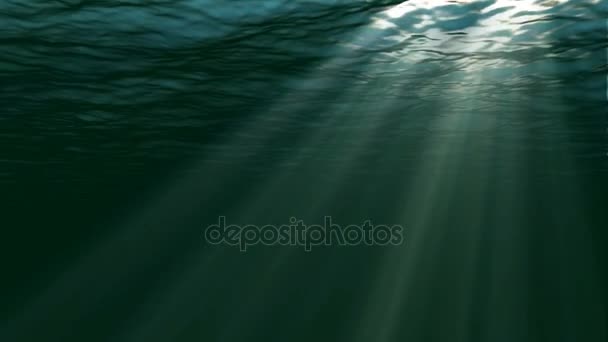 Подводная сцена. Большой популярный морской фон — стоковое видео
