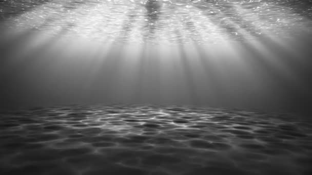 Underwater black and white scene. Large popular marine background — Stock Video