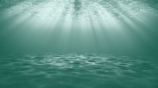 Unterwasserszene. großer beliebter maritimer Hintergrund — Stockvideo