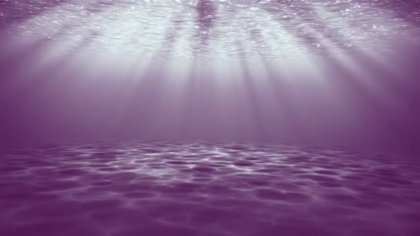 Підводна сцена. Великий популярний морський фон — стокове відео