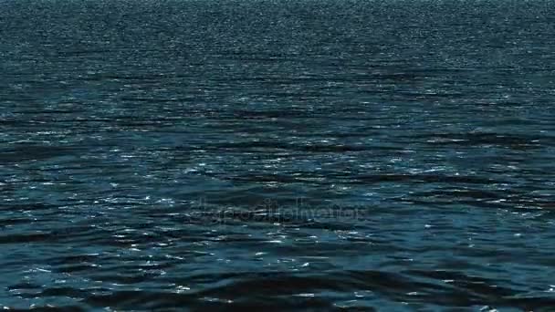 海洋表面。平静的海浪 — 图库视频影像