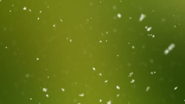 Astratto Particelle verde e argento bokeh Sfondo — Video Stock