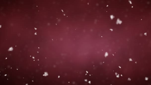 Teilchen. natürliche schwebende organische Teilchen auf schönem Hintergrund. Glitzerpartikel mit Bokeh. Zeitlupe. — Stockvideo