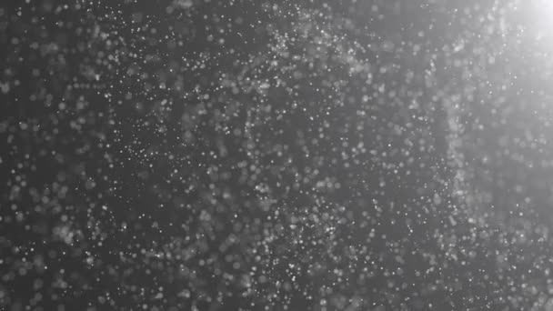 Gold Particles. Natural Floating Organic Particles On beatiful Background. Glittering Particles With Bokeh. Slow motion. — Stock Video