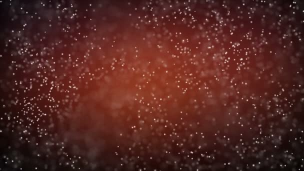 Particules d'or. Particules organiques flottantes naturelles Sur fond béatifique. Particules scintillantes avec Bokeh. Mouvement lent . — Video