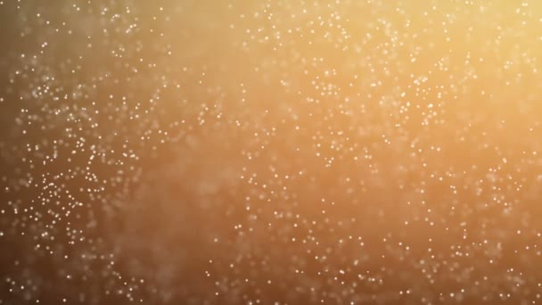 Guld partiklar. Naturlig flytande organiska partiklar på vacker bakgrund. Glittrande partiklar med Bokeh. Slow motion. — Stockvideo