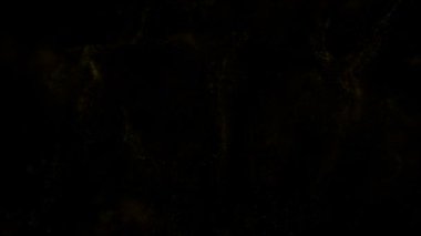 Titreşme parçacıkları, parçacıkların rastgele hareketi. Güzel rahatlatıcı arka plan üzerinde. Volumetrik ışıkta bokeh Ile ışıltılı parçacıklar