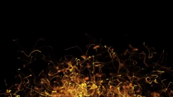 Flickering Gold Particles, random motion of particles.On beatiful relaxing Background. Glittering Particles With Bokeh in volumetric light — Stock Video