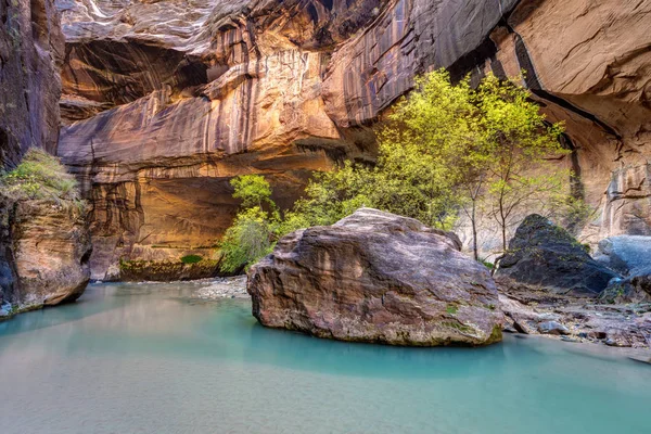 Serenidade dos Narrows — Fotografia de Stock