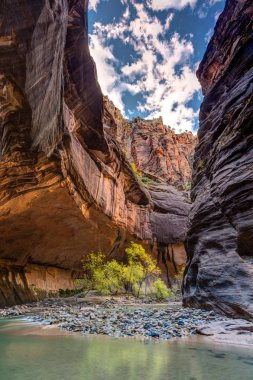 Walking in the Virgin river of Zion National Park clipart