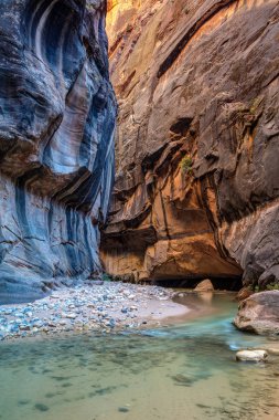 Narrows ortam ışığı
