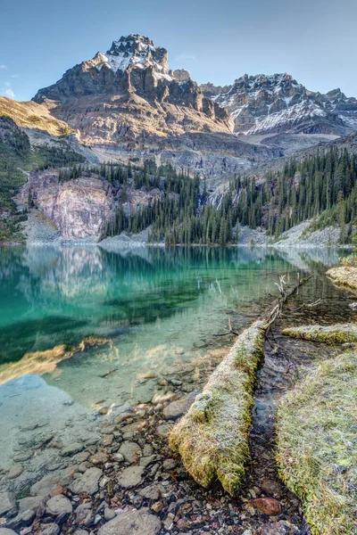 Lake O'Hara naturskön strandlinje — Stockfoto