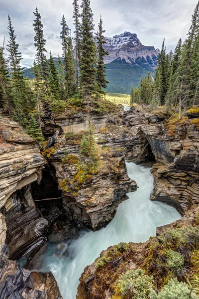 Flusso naturale delle cascate Athabasca — Foto Stock