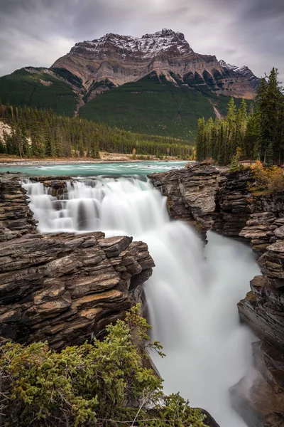 Athabasca faller på den Icefield Parkway — Stockfoto