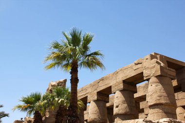 Luxor 'daki Karnak Tapınağı Kompleksi' nde antik Mısır mimarisi ve palmiye ağaçları.