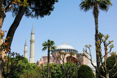 Ayasofya ve Ayasofya 'nın güneşli bir günde Sultanahmet Meydanı' ndaki palmiye ve çalıların arasında görüntüsü