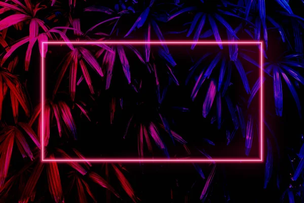Bright neon red glow, futuristic background in retro style, creative tropical leaves layout ultra violet colors