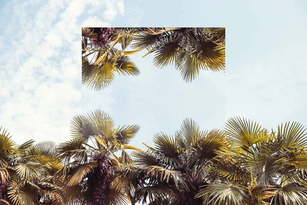 Тропические деревья в винтажных цветах с сюрреалистическим зеркальным отражением, творческая иллюстрация в стиле современного искусства — стоковое фото