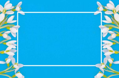 Bahar arkaplanı, beyaz kar damlalarının kompozisyonu açık mavi bir zemin üzerinde metniniz için yer var