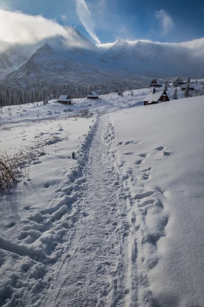 Zasněžená cesta do úkrytu v horách v zimě, Polsko — Stock fotografie