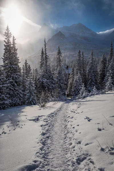 Sendero nevado para refugiarse en invierno, Polonia — Foto de Stock