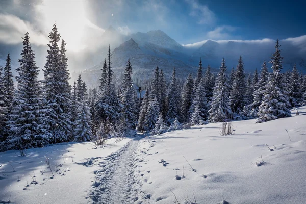 Disfrute de su viaje de invierno a las montañas Tatras en Polonia — Foto de Stock