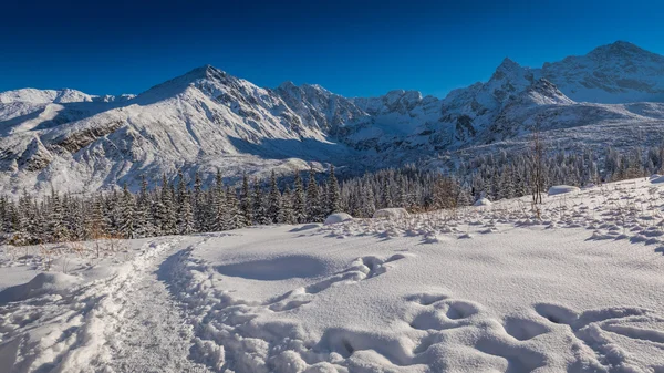 Sentier de montagne enneigé dans les montagnes Tatra, Pologne — Photo