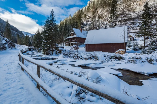 Dondurulmuş dağ nehir ve ahşap yazlık kış, Tatra Dağları, Polonya — Stok fotoğraf