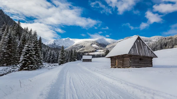 Snowy wooden cottages in winter at sunrise, Tatra Mountains, Poland — Stock Photo, Image